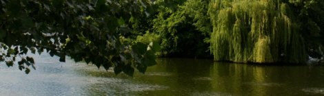 Powderhorn park lake