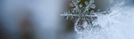 close focused snowflake by aaron burden